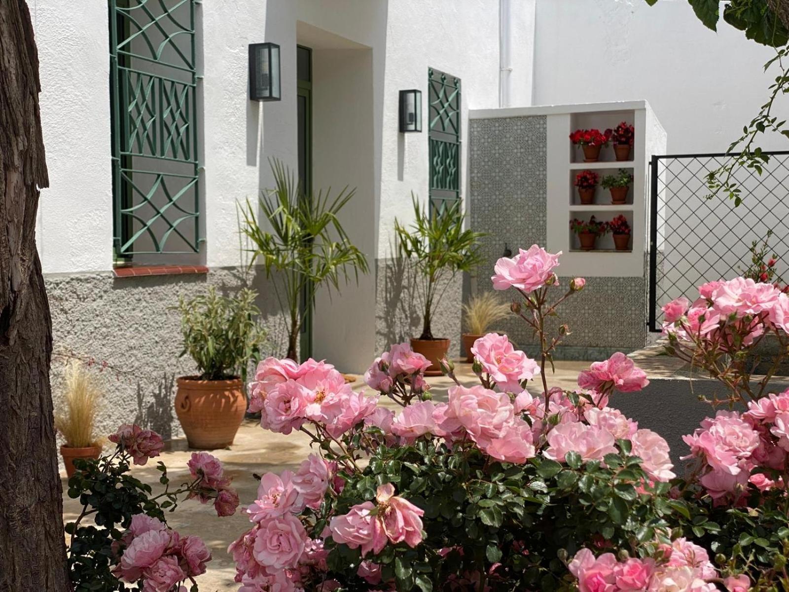 Les Filles Hotel Делтебре Екстериор снимка